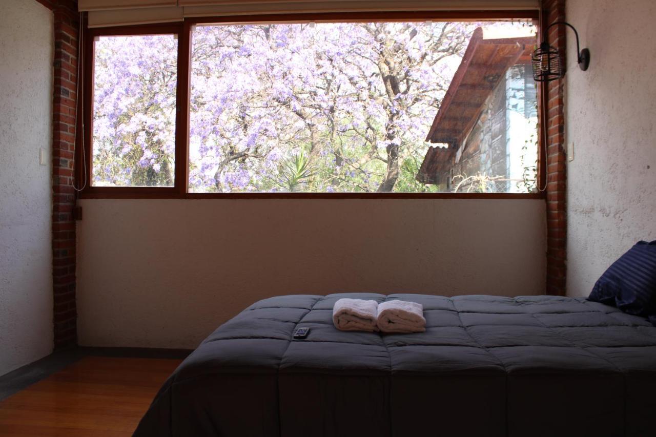 Casa Frida Coyoacan Mexiko-Stadt Exterior foto